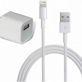 CARGADOR IPHONE 5W USB